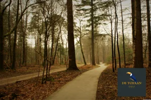 Een slingerend fietspad door het bos, met daarnaast een zandweg.