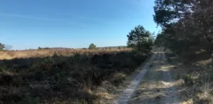 Een wandelpad langs het bos en de heide - nabij Bospark De Vliegden